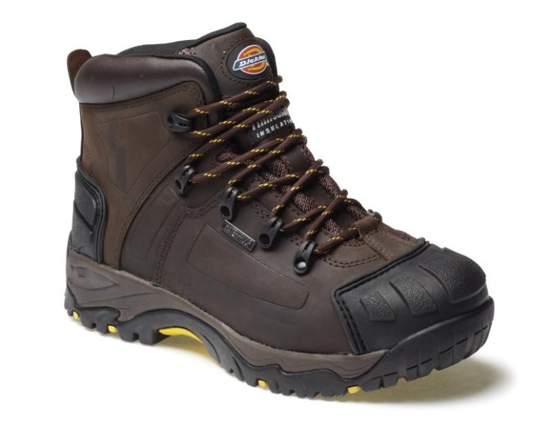 Dickies chaussure new arrivals